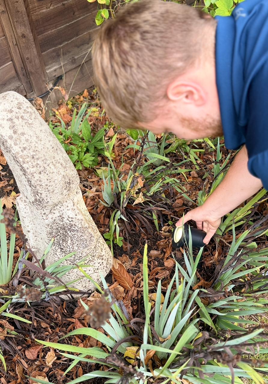 Ollie positioning a small landscape spotlight beside a stone statue in a garden bed